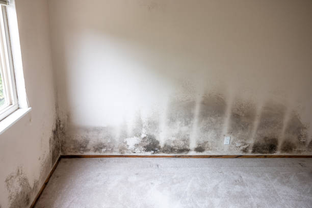 Best HVAC Mold Inspection and Cleaning  in Lathrop, CA